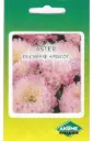 Aster DUSHESSE APRICOT 0,5 g