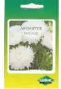 Aster DUSHESSE valge 0,5 g