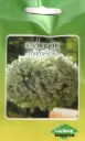 Kivikilbik CLEAR CRYSTALS WHITE; 20 s.