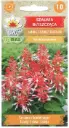 Leeksalvei SCARLET BICOLOR 10 tk