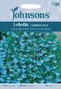 Lobeelia CAMBRIDGE BLUE, 2500 s.