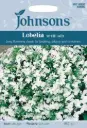Lobeelia WHITE LADY, 2500 s.