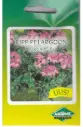 Ripp-pelargoon BICOLOR DUET, 6 seemet