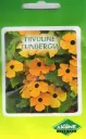 Tiivuline tunbergia segu 0,5 g