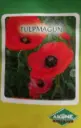Tulpmagun 0,1 g