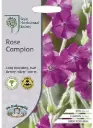 Harilik käokann ROSE CHAMPION