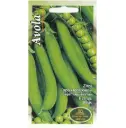 Hernes Avola 15 g