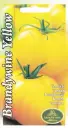 Tomat Brandywine Yellow k.hoonesse 0,1 g