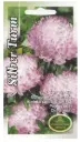 Aster pojeng Silber T. 0,5 g