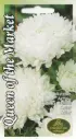 Aster Queen of the Market valge 0,5 g