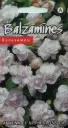Balzamiin Athena F1 Appleblossom 5 s