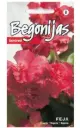 Begonia Feja 15s