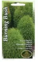 Kohhia Burning Bush 1 g