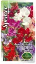 Lillhernes Spencer segu 2 g