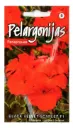 Pelargoon Black Velvet Scarlet F1 5 s