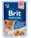 Brit Premium Delicate Chicken Kitten 85g 