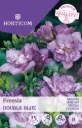 Freesia ´Double Blue´ 15tk 