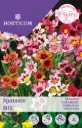 Narriõis ´Sparaxis´ Mix 25tk 