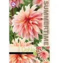 Dekoratiivdaalia ´LABYRINTH´ 1tk