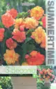 Begoonia ´GOLDEN BALCONY´ 3tk