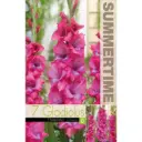 Gladiool ´LUMIERRE´ 7tk