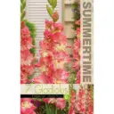 Gladiool ´MANGO MUSE´ 7tk