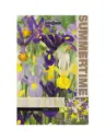 Iiris ´HOLLANDICA´ 10tk