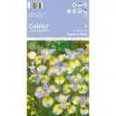 Iiris ´SIBIRICA TRIPPED IN BLUE´ 1tk