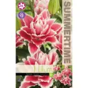 Liilia ´ROSELILY SAMANTHA´ 1tk