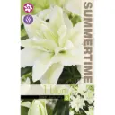 Liilia ´ROSELILY AISHA´ 1tk 