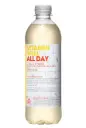 Vitamin Well All Day vitamiinijook 500ml