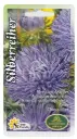 Aster Silberreiher 0,5g lilla 