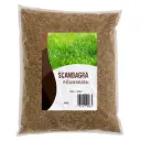 Muruseeme "Põuamuru" 1 kg