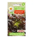 Lehtsalat Rosemarry 