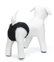 Koera jooksuajapüksid XS