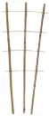 Taimeredel bambus 3 haru 60cm