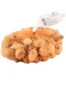 Tippsibul 'Biztro' 21/24 500g