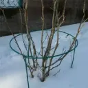 Põõsatugi koostatav 1000mm