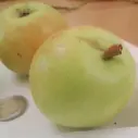 Aedõunapuu Konfetnaja