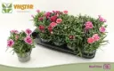 Potinelk valik P10,5/20cm