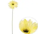 Kunstlill gerbera 'yellow' 60cm 