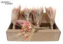Kuivlilledest pleegitatud kimp Pink 