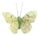 Liblikas 'Green Feather & Glitter' klambriga 6cm* 8cm 12tk/pk