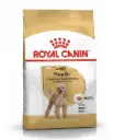 Royal Canin Poodle Adult koeratoit 1,5kg