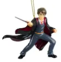 Kuuseehe 3D Harry Potter