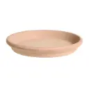 Lillepoti alus Sottovaso terra