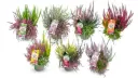 Kanarbik 'Up Down Girls' P13/25cm