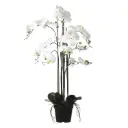 Kunsttaim potis kuuking d19 h97cm kreem