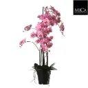 Kunsttaim potis kuuking d19 h97cm roosa