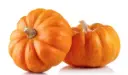 Dekoratiivkõrvits Halloween